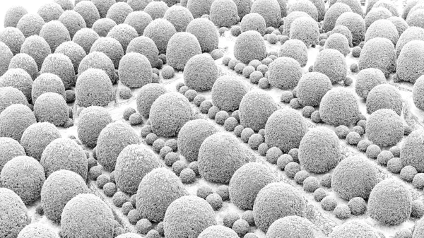 A Pale Gray Universe thumbnail