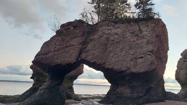 Bay of Fundy during low tide thumbnail