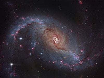 Black holes create and destroy galaxies, like this spiral galaxy in the constellation Dorado.