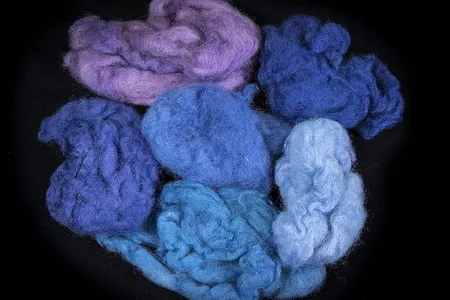 Ptil Tekhelet sells tzitzit, or fringes attached to the corners of Jewish prayer shawls, colored with dye from the Murex trunculus snail