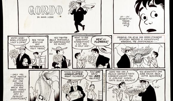 Gordo comic strip. Uncle Mio (wearing a suit and carrying a box of chocolates bouquet of flowers) talks to his nephew, who explains the qualities of different types of flowers. Behind the two figures appear precise, scientific diagrams of flowers.