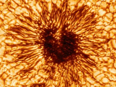 The photograph shows an area about 10,000 miles wide, a small portion of the Sun which is 864,000 miles wide