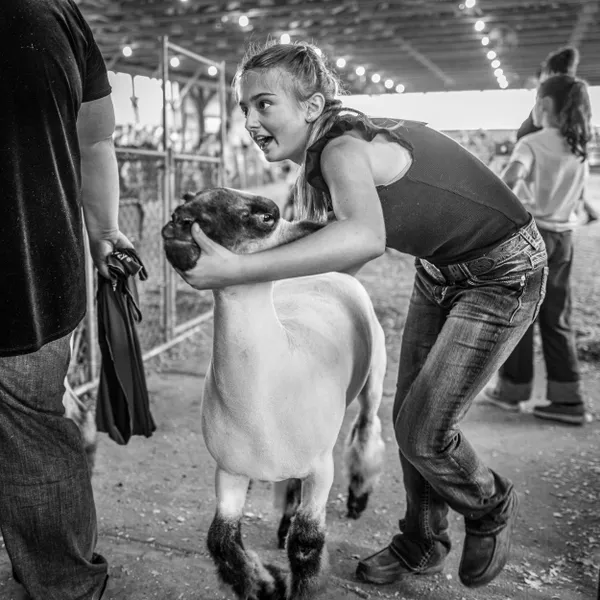 Sheep Escort thumbnail