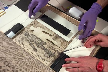 Columbia librarians prepare the 17th-century medical pop-up book for digitization

