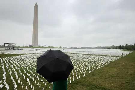 Last September, an installation of almost 700,000 white flags on the National Mall paid tribute to the Americans who have died of Covid-19.