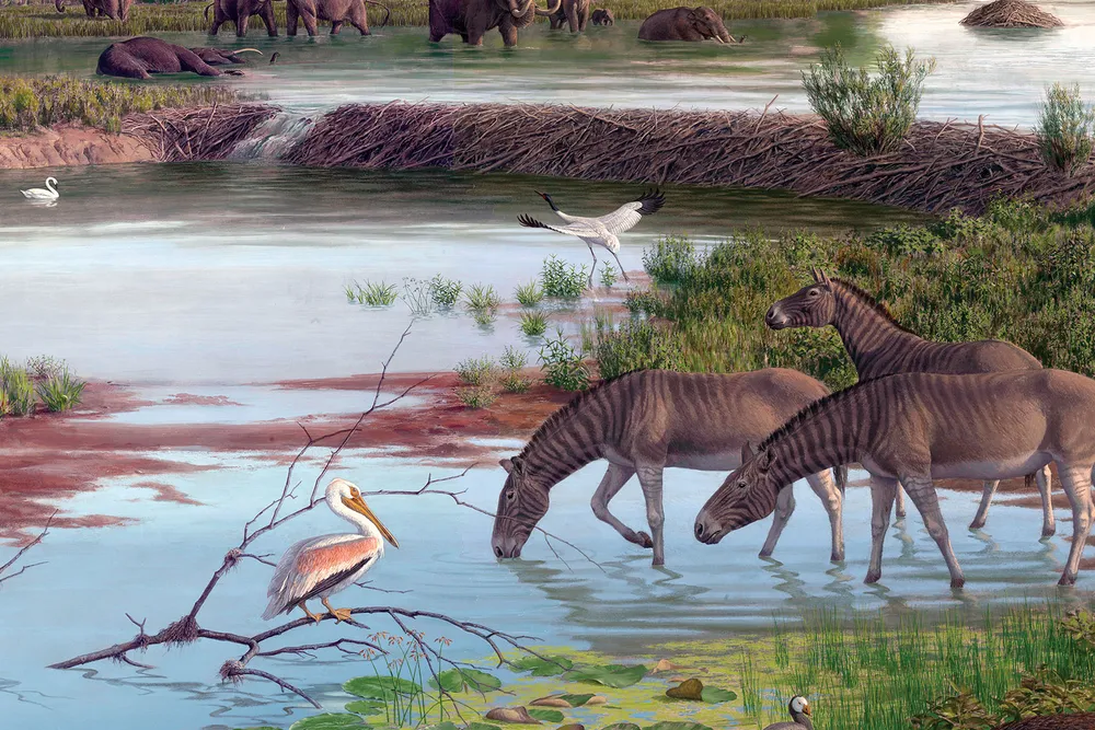 Natural Scene From Pliocene