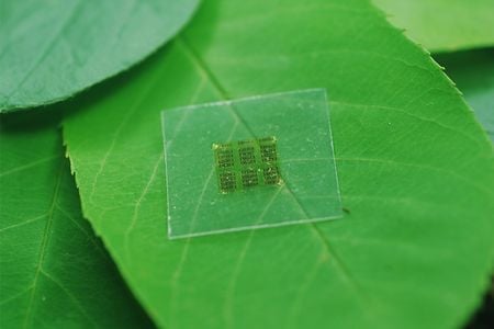 Cellulose nanofibril (CNF) chips made from wood could lead to flexible, biodegradable electronics that leach far less potentially toxic chemicals into the environment.