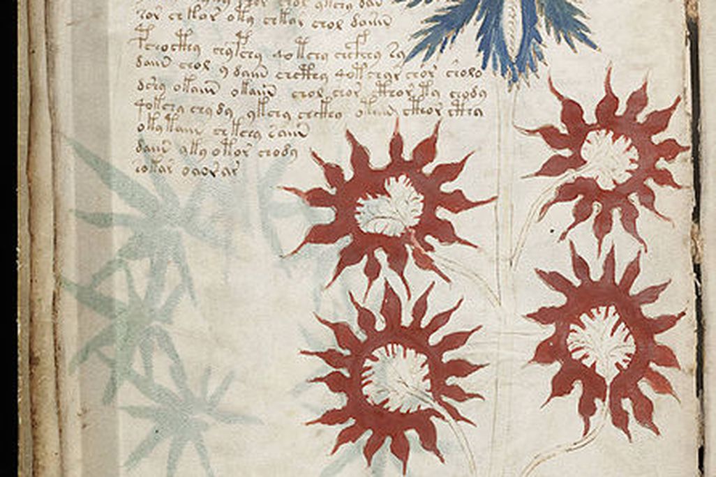 20110520102433446px-Voynich_Manuscript_32.jpg