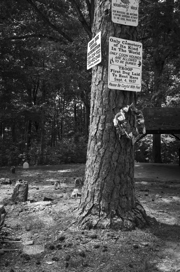 Key Underwood Coon Dog Memorial Graveyard thumbnail