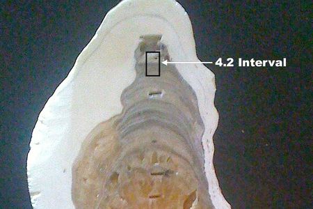 The Meghalayan Age’s “timestamp” is an isotopic shift found in a single stalagmite growing from the floor of the Mawmluh Cave in Meghalaya, India