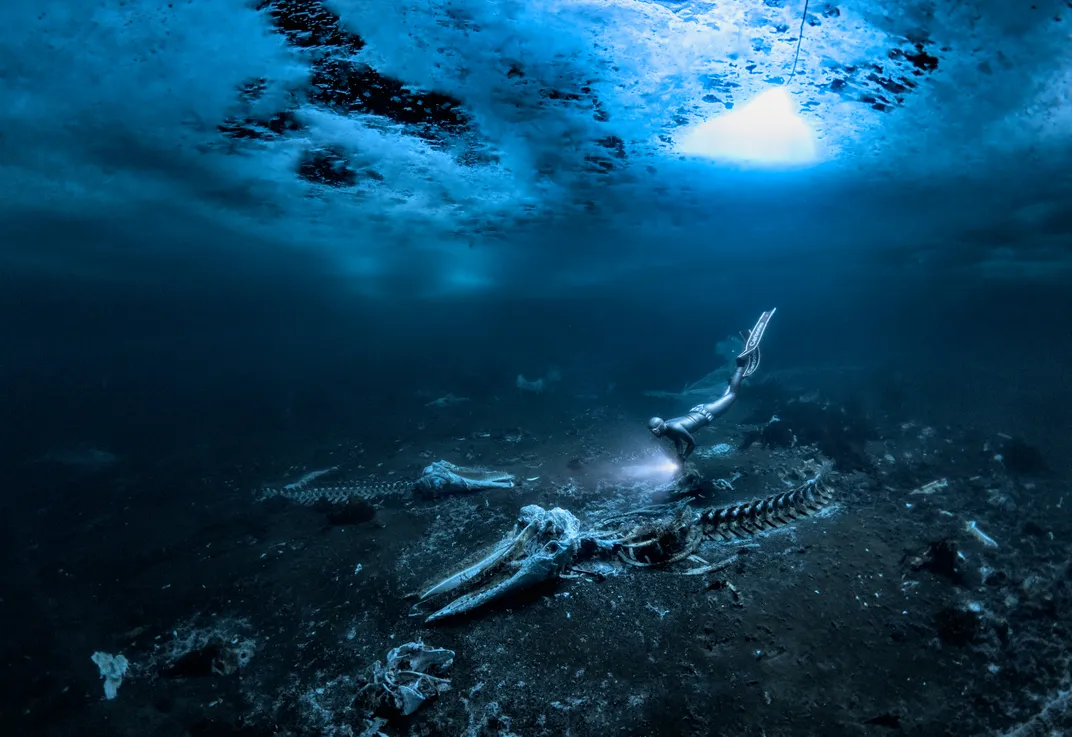 a diver in a wetsuit swims with her feet above her head over a seeming graveyard of whale bones illuminated by her torch and a bit of sunlight