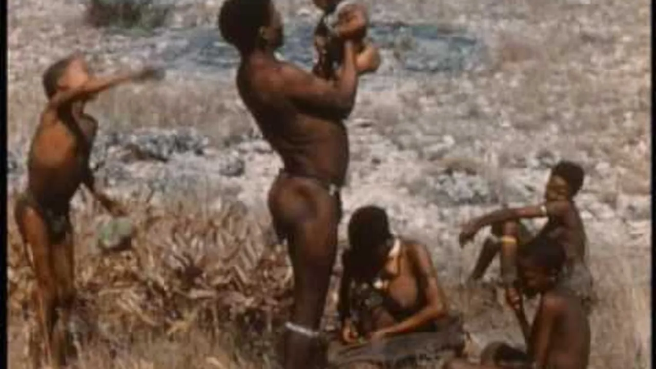 Preview thumbnail for The John Marshall Ju/'hoan Bushman Film and Video Collection, 1950-2000