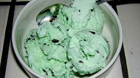 Mint chocolate chip ice cream