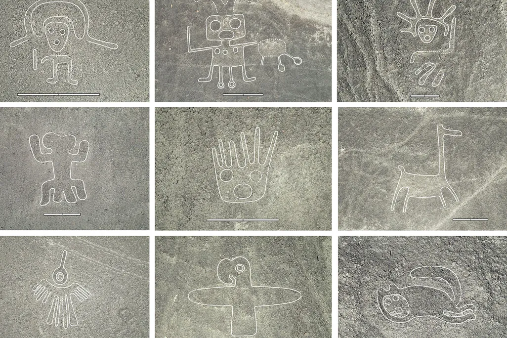 Nine of the newly discovered drawings