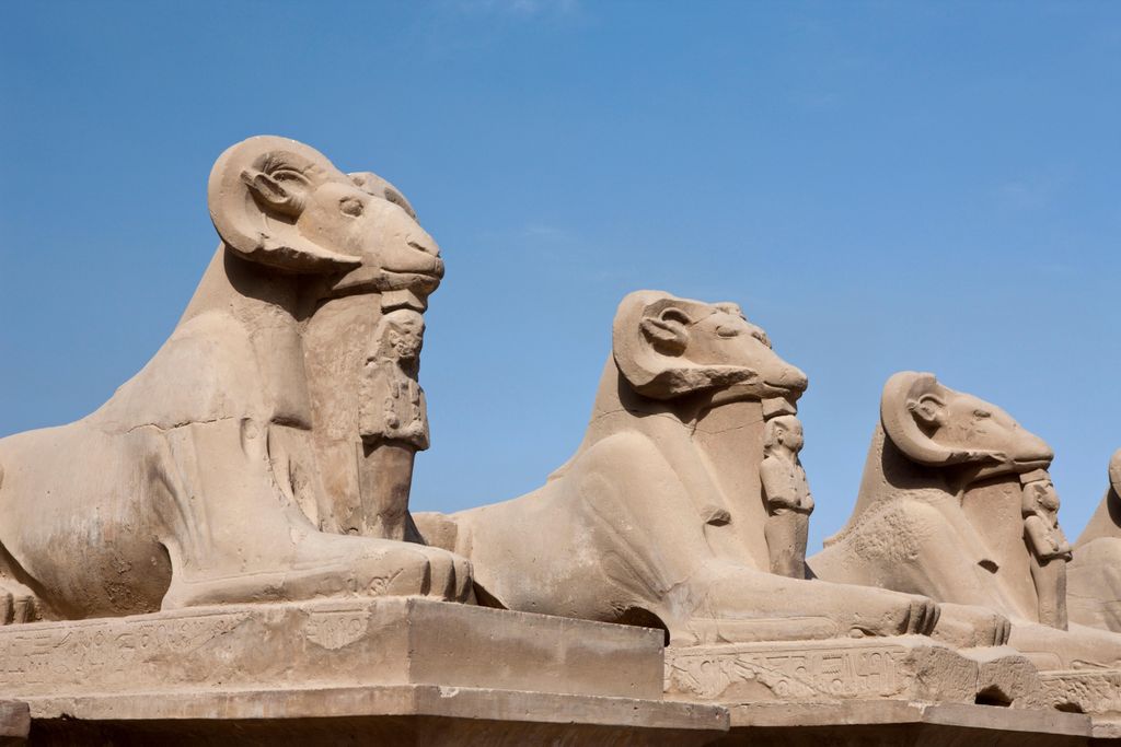 Ram sphinxes