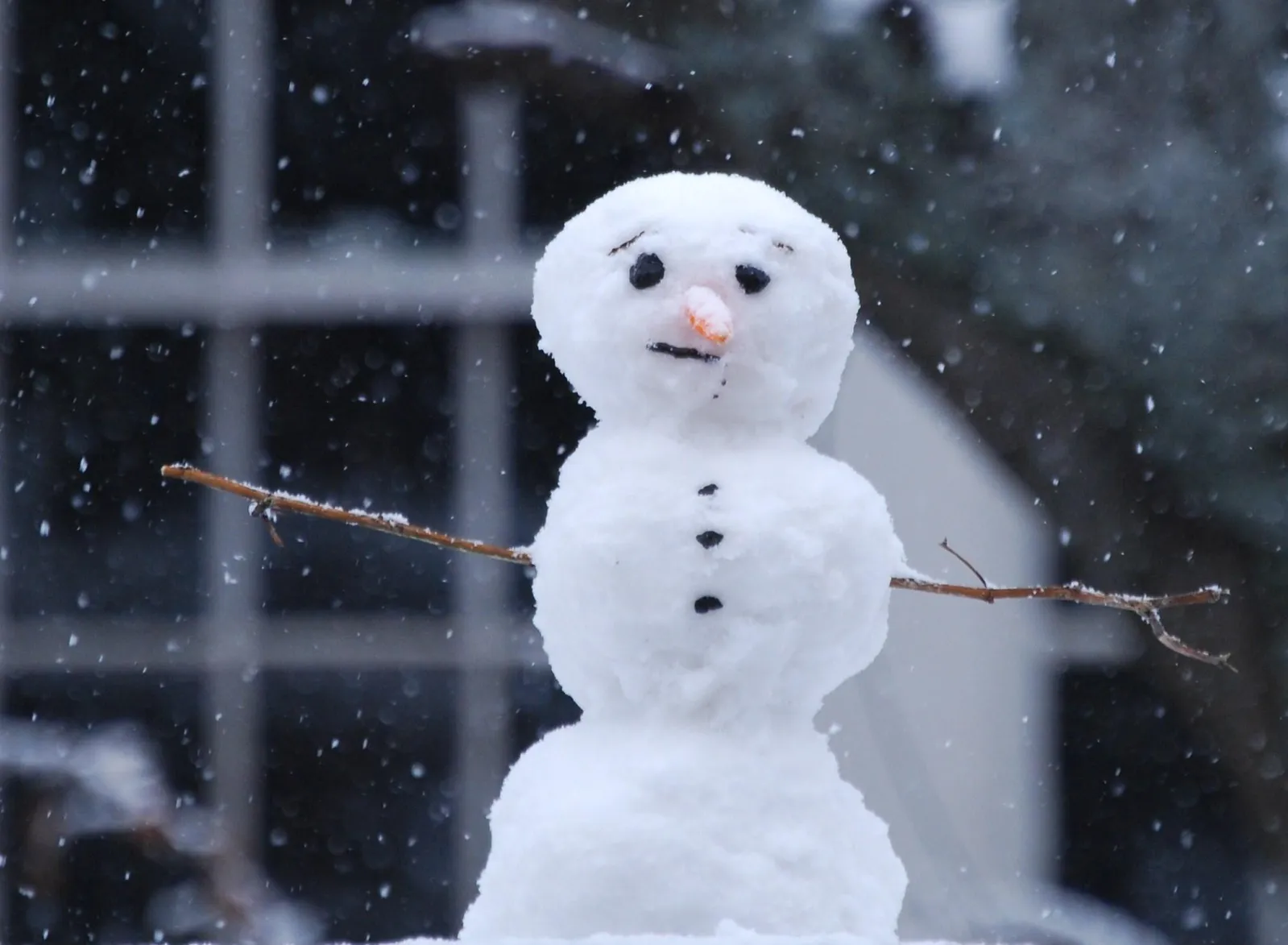 delivery bosom Hick Do You Want To Build a Snowman? Physics Can Help | Science| Smithsonian  Magazine
