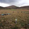 Archaeologist Discovers Two Neolithic Stone Circles in England, Supporting a 'Sacred Arc' Theory icon