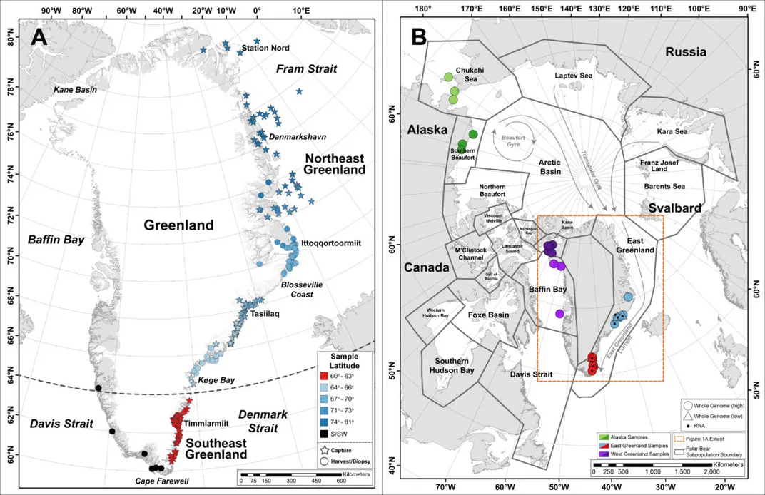 where do polar bears live map