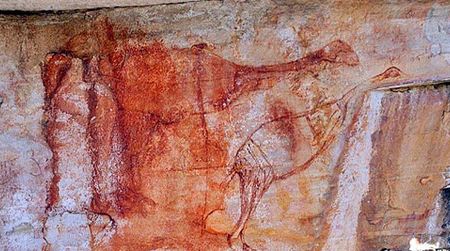 A pair of giant, extinct birds depicted on a rock in Australia could be the continent’s oldest work of art.