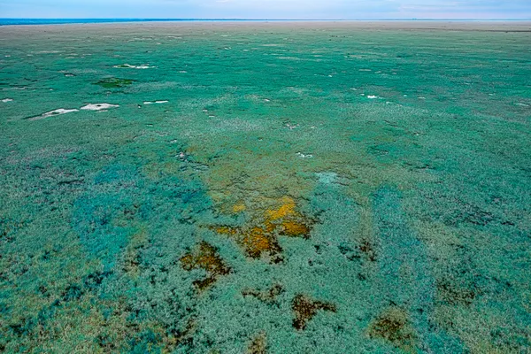 Whisperfield thumbnail