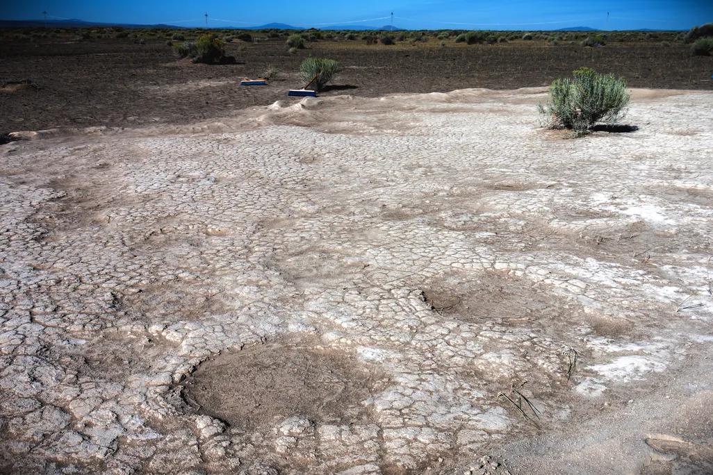 trackway