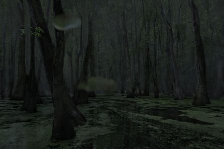 Cypress Swamp. Middle Mississippi, 2014