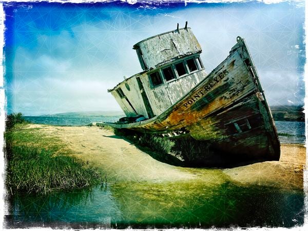 Shipwrecked at Point Reyes thumbnail