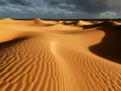 One of the world's most iconic deserts was once lush and green. What happened?