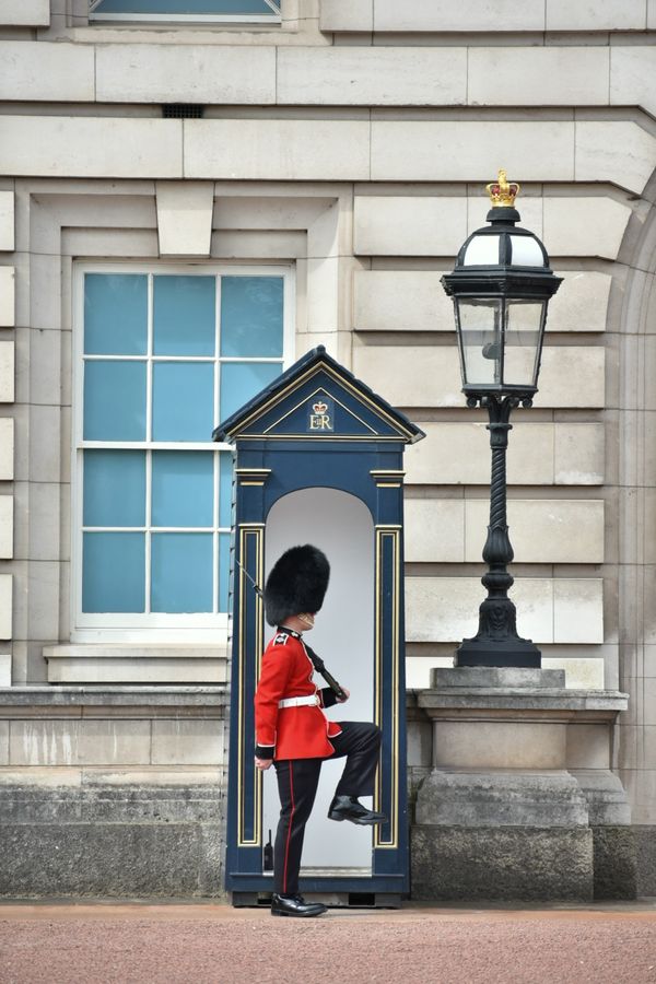 Buckingham Guard thumbnail