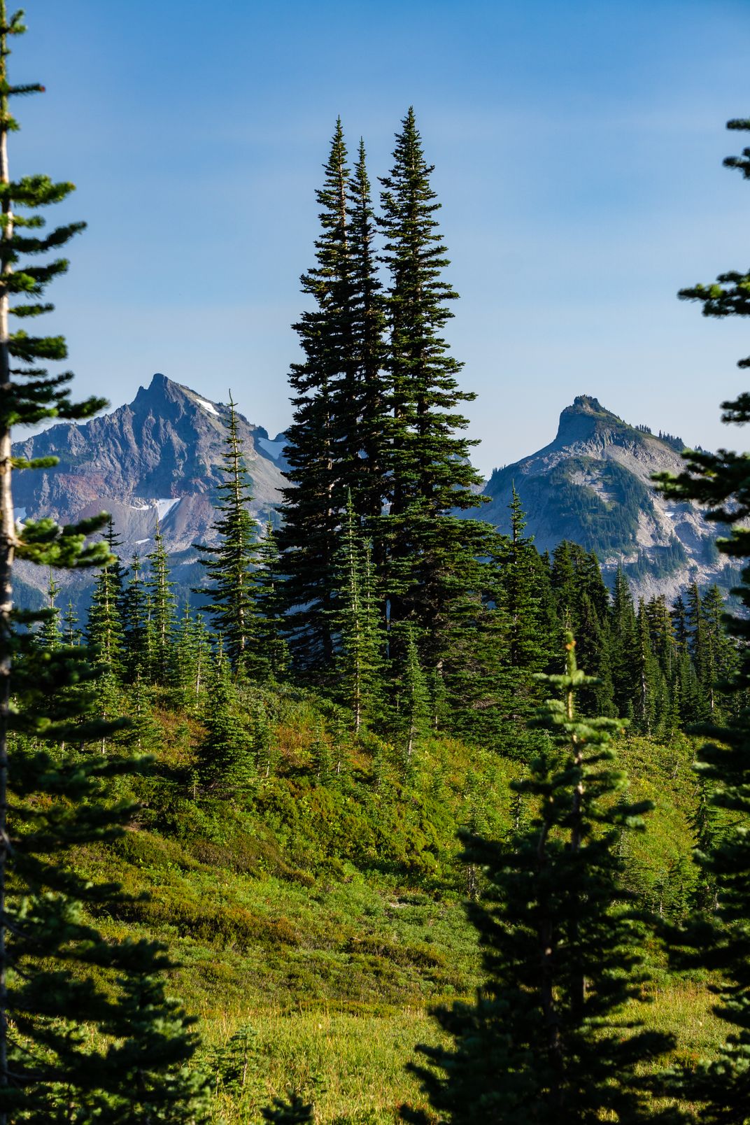 Alpine Layers | Smithsonian Photo Contest | Smithsonian Magazine