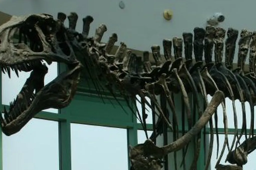 Acrocanthosaurus