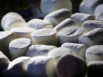 Those who hold out for the second marshmallow may come from more affluent households, and their future success is based on this economic advantage rather than sheer willpower