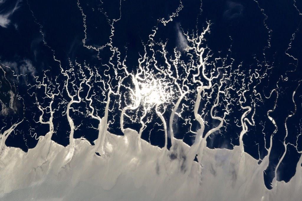 16347932086_a06902658e_b.jpg