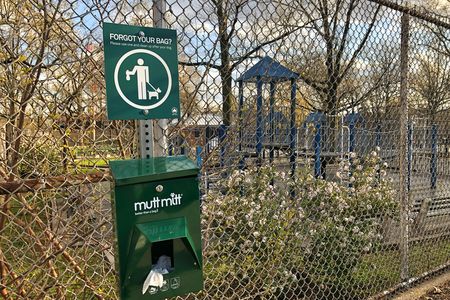 Dog waste bags outside a park in Queens, New York. The maximum fine for not picking up your dog's waste in New York City is $250.
