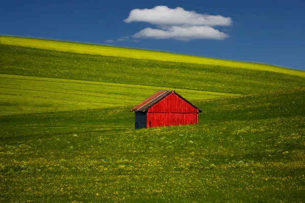 Das rote Haus.     Canon EOS R6 Mark II, 400mm thumbnail