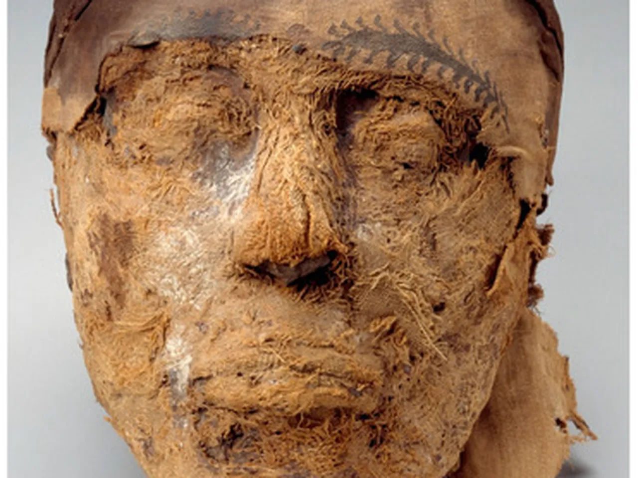 EGYPT ～エジプト～HUMAN EGYPT ～エジプト～HUMAN In a groundbreaking scientific