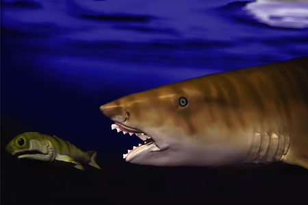 An illustration of the ancient shark Edestus heinrichi preying on a fish. Many ancient sharks had different jaws than modern sharks.