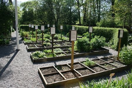 Amazon may be coming to a garden near you.