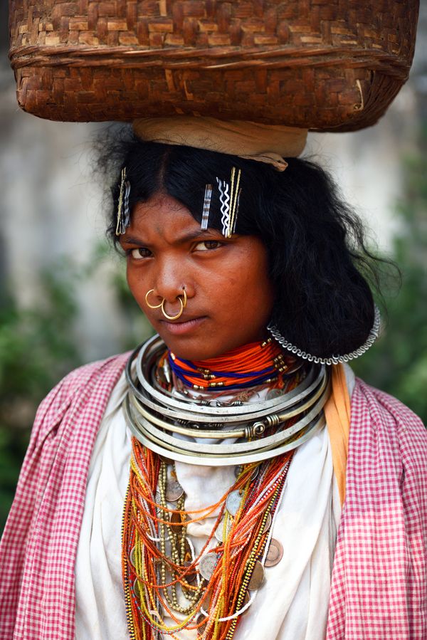Dongria Kondh Tribal Girl thumbnail