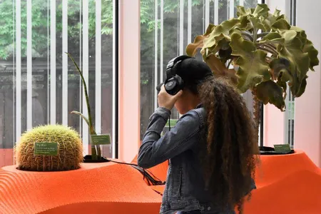 Visitors interact with living sound artworks in the "Sonic Succulents" installation by Adrienne Adar