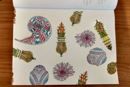 A selection of foraminifera, tiny marine creatures that form elaborate shells of calcium carbonate or silica.