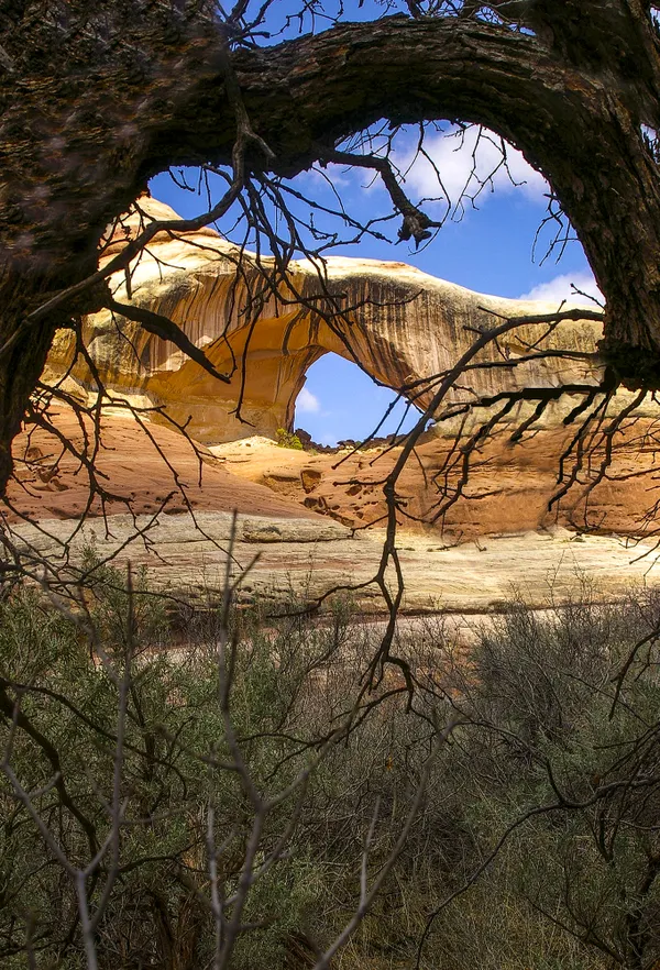 Double Arch in Canyonlands National Park, Utah. thumbnail