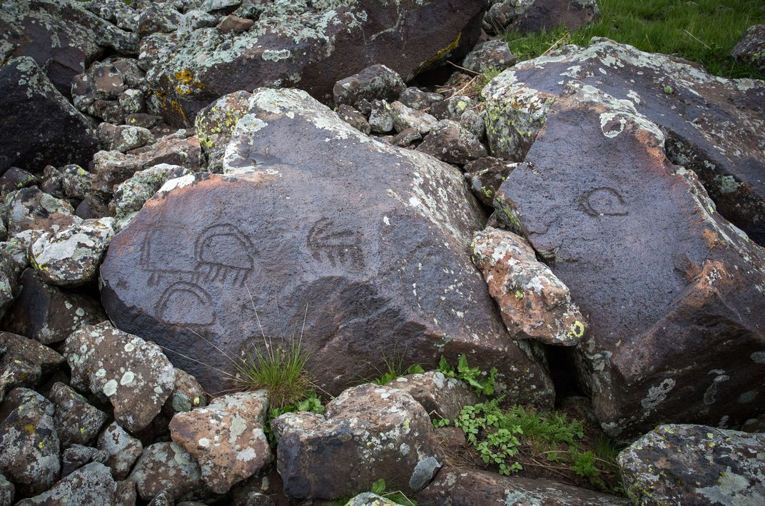 Carved into dark brown, mossy rock are petroglyphs resembling early illustrations of mammals.