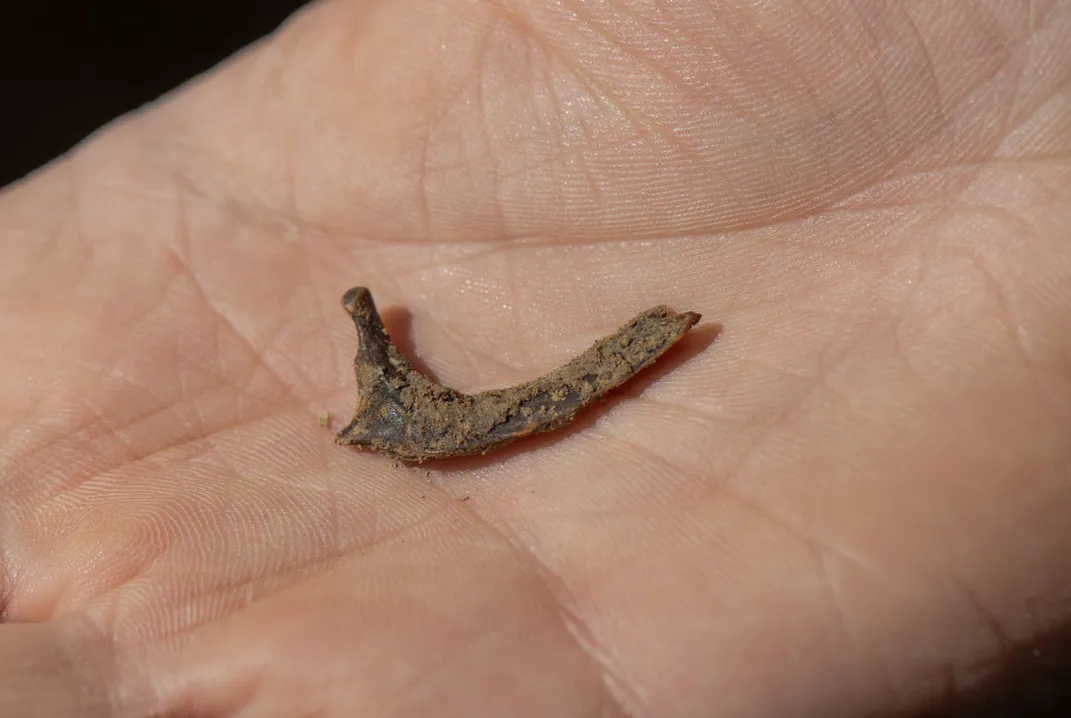 Hotchner holds in his palm a weasel jaw, without teeth, found in the cave