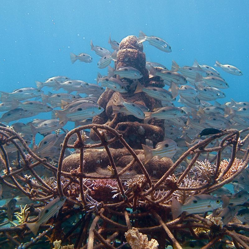 This Coral Restoration Technique Is 'Electrifying' a Balinese Village, Science