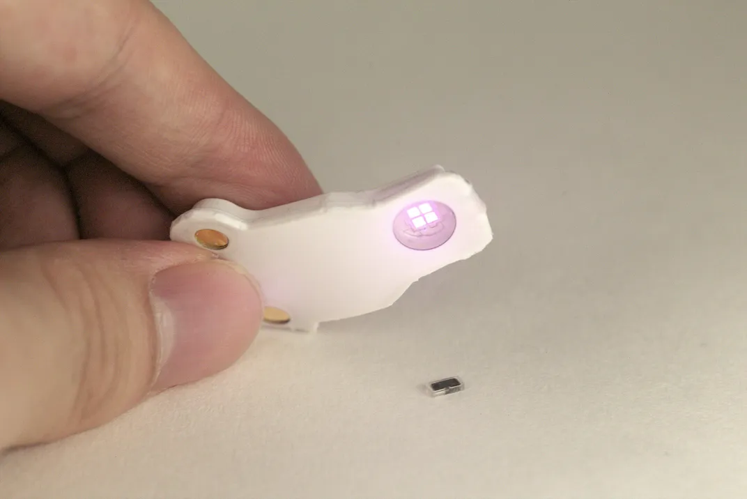 a hand holds a white device with a small purple light over the tiny pacemaker on a white table