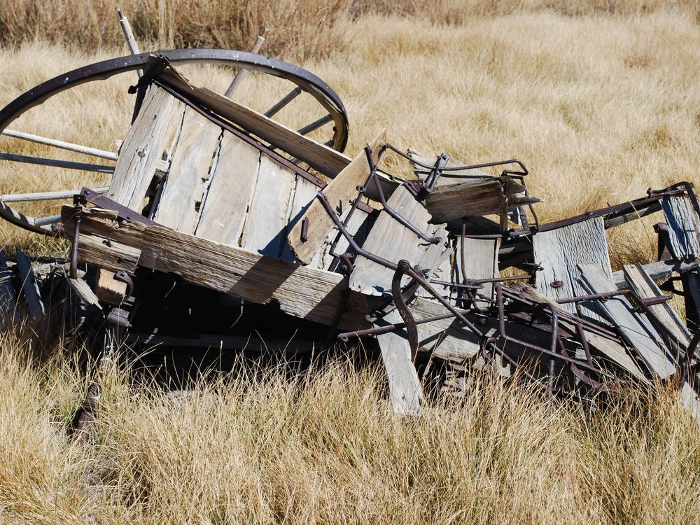 Arrested Decay Smithsonian Photo Contest Smithsonian Magazine