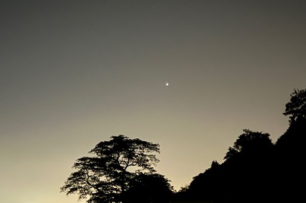 Planet Jupiter at Dusk thumbnail