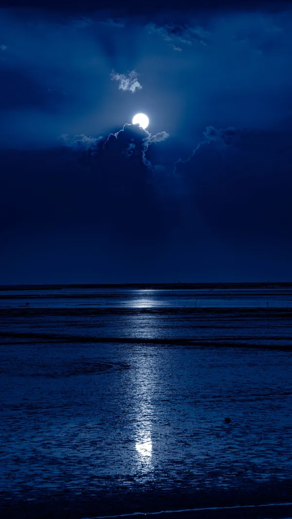 The Sea of the Moon thumbnail