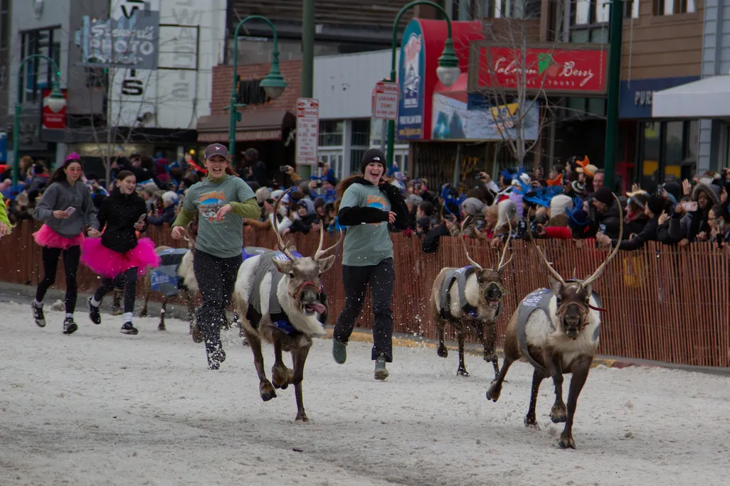 Running of the Reindeer 2025